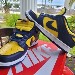 2021 nike low dunk Michigans